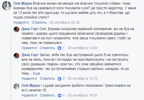 В мережі розповіли про собаку з Луцьку, якого викинули з дев’ятого поверху